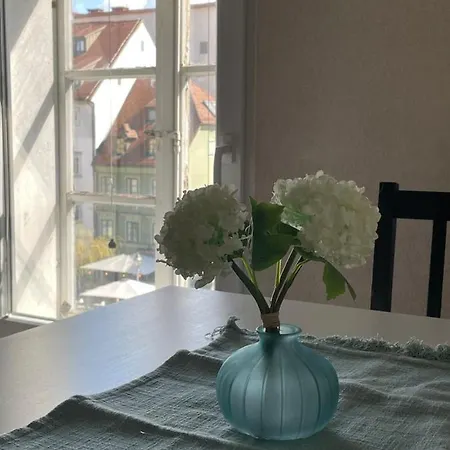 Old Town Theatre Staircase 公寓 卢布尔雅那